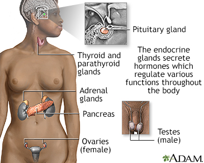  when the parathyroid glands in your neck produce too much parathyroid 